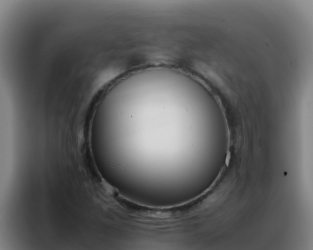 X0000088151261200705211149