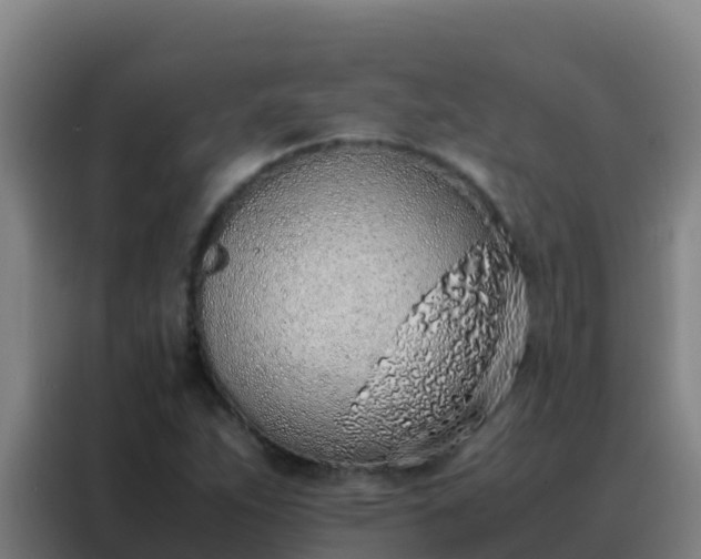 X0000088151263200705211149