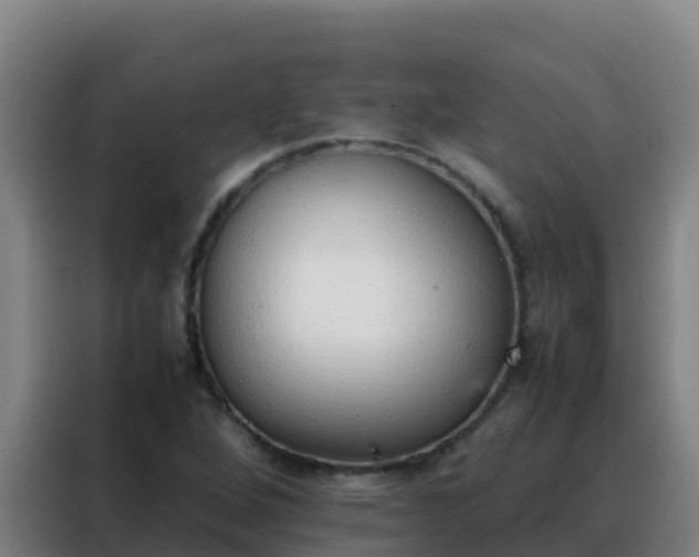 X0000088151264200705211149