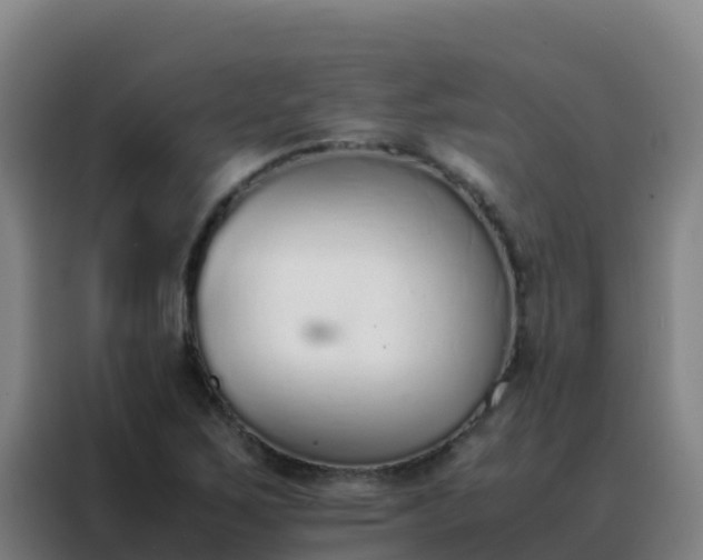 X0000088151267200705211148