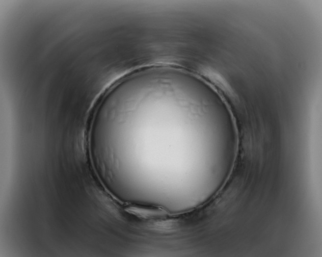 X0000088151268200705211148