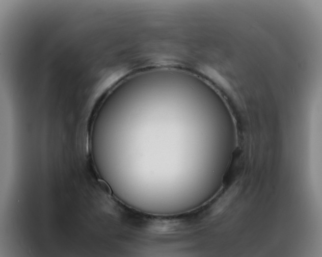 X0000088151269200705211148