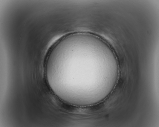 X0000088151271200705211148