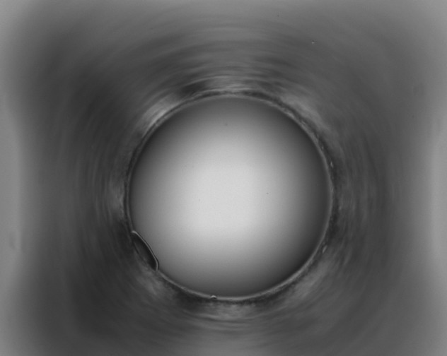 X0000088151273200705211148