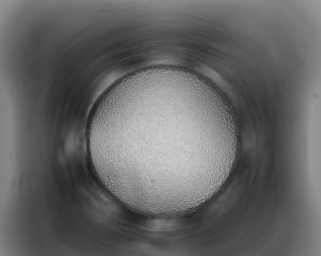 X0000088151274200705211148