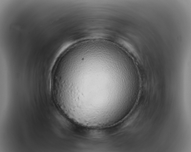 X0000088151275200705211148