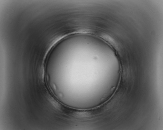 X0000088151276200705211148