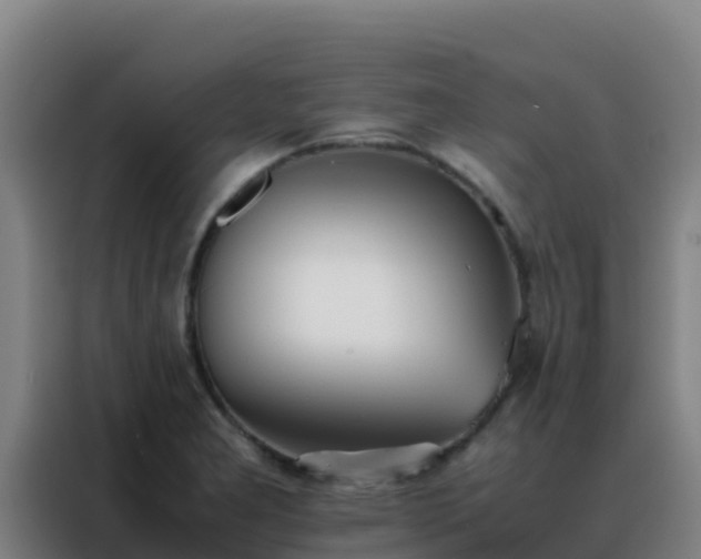 X0000088151277200705211148