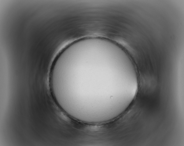 X0000088151278200705211148