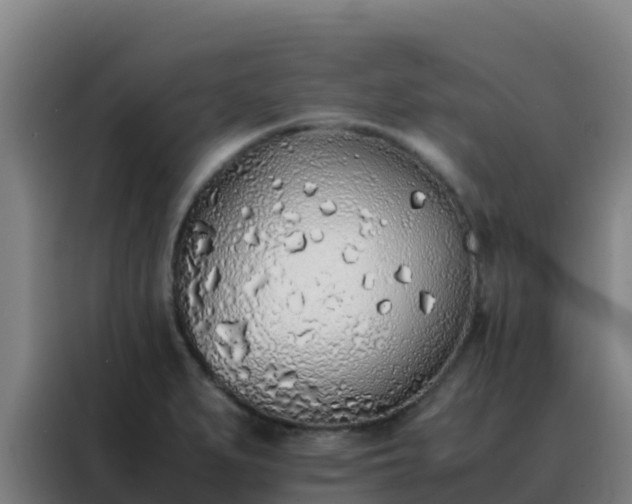 X0000088151279200705211148