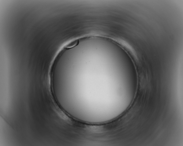 X0000088151280200705211148