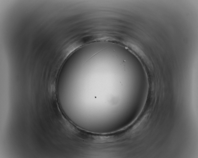 X0000088151281200705211148