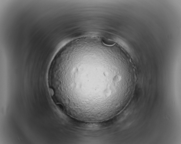 X0000088151283200705211148