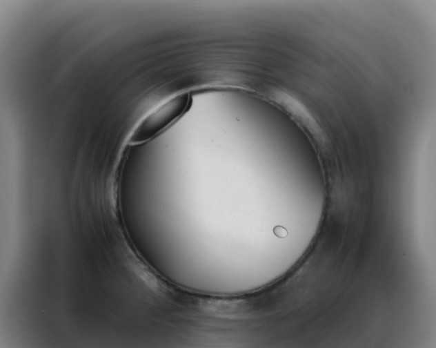 X0000088151284200705211148