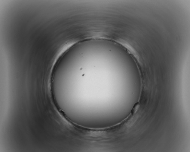 X0000088151285200705211148