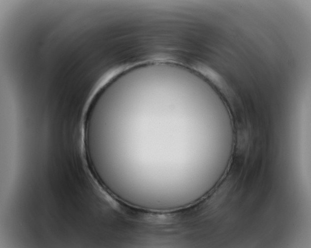 X0000088151286200705211148