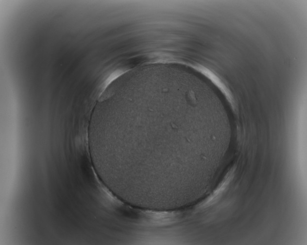 X0000088151289200705211148