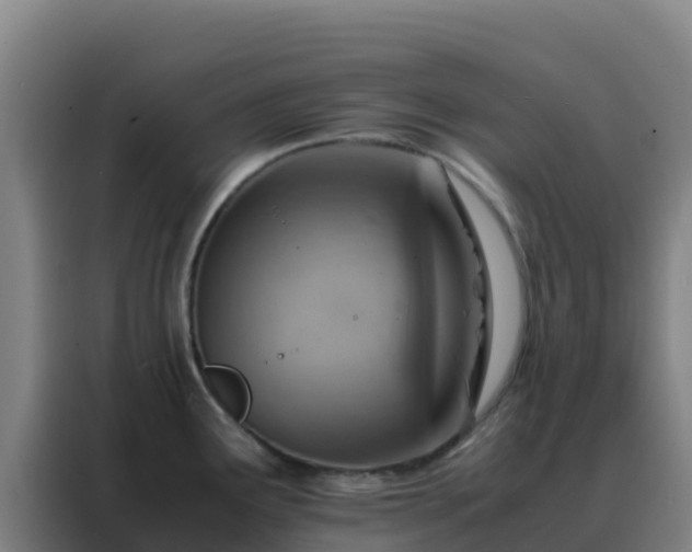 X0000088151291200705211148