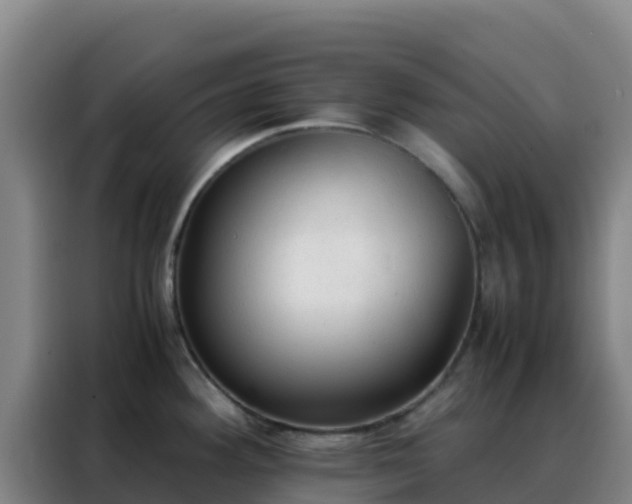 X0000088151292200705211148