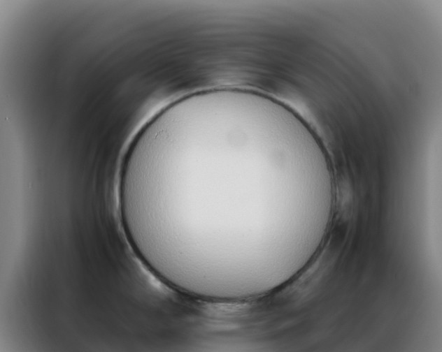 X0000088151294200705211148