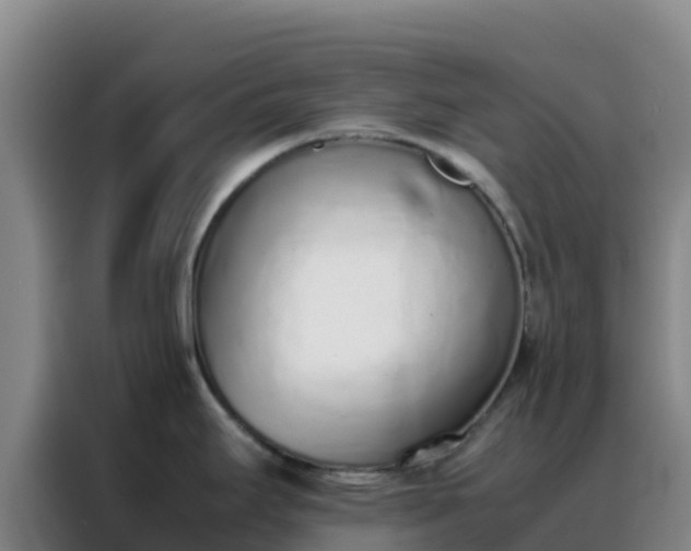 X0000088151295200705211148