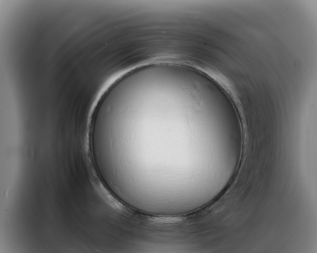 X0000088151296200705211148