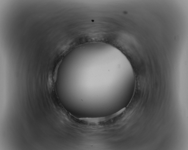 X0000088151298200705211147