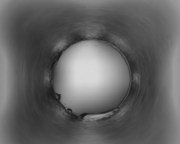 X0000088151300200705211148