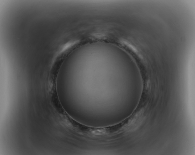 X0000088151303200705211148