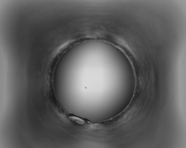 X0000088151304200705211148