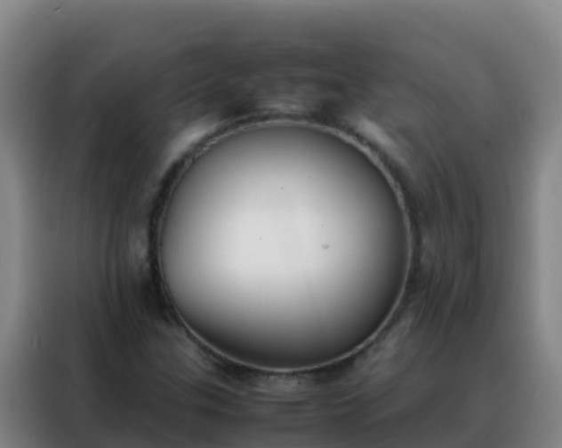 X0000088151307200705211148