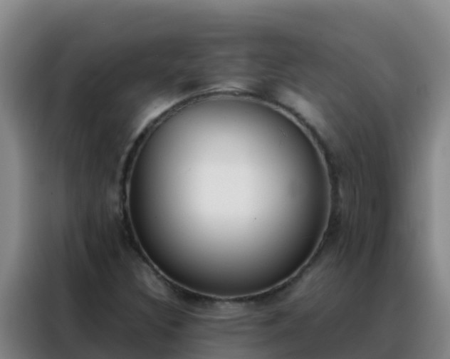 X0000088151308200705211148