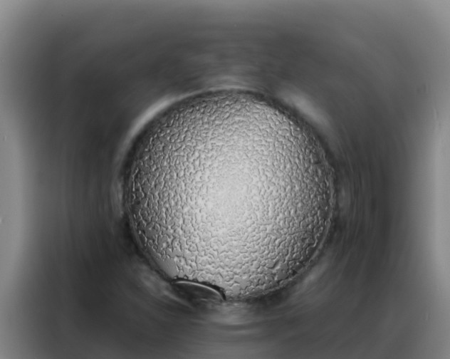 X0000088151310200705211148