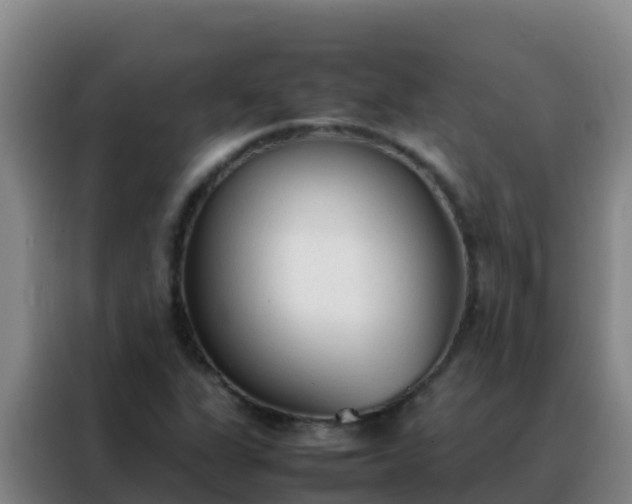 X0000088151311200705211148