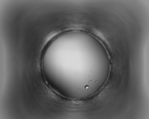 X0000088151312200705211148