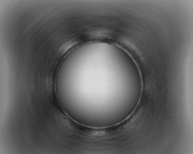 X0000088151313200705211148