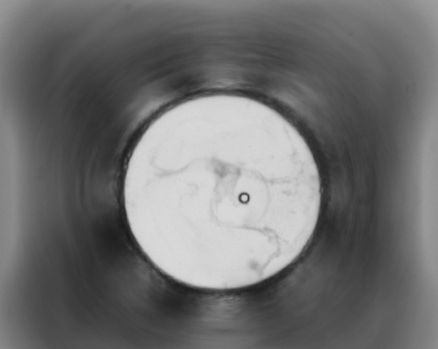 X0000088151314200705211148