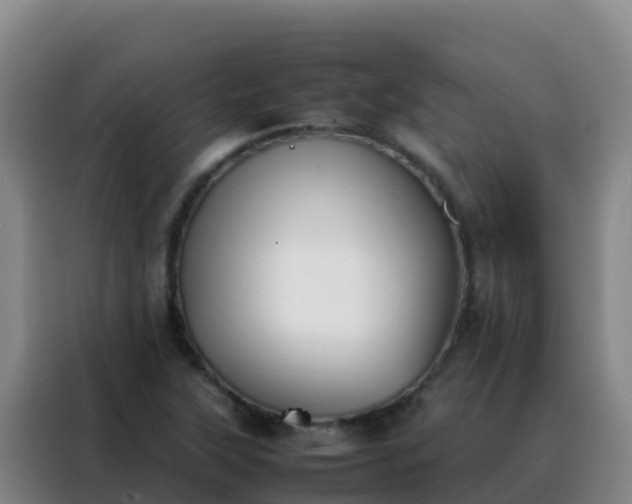 X0000088151315200705211148