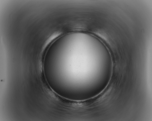 X0000088151317200705211148