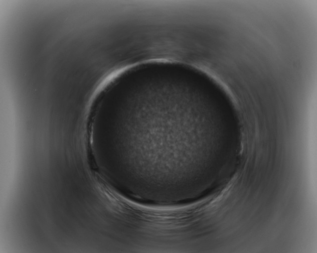 X0000088151319200705211148