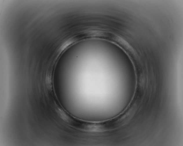 X0000088151321200705211148