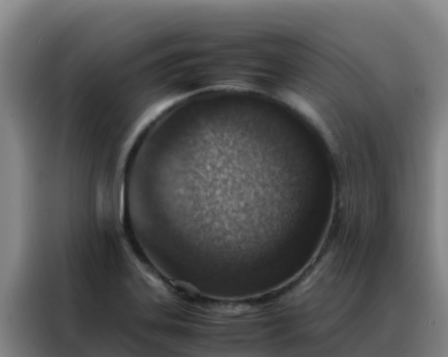 X0000088151323200705211148