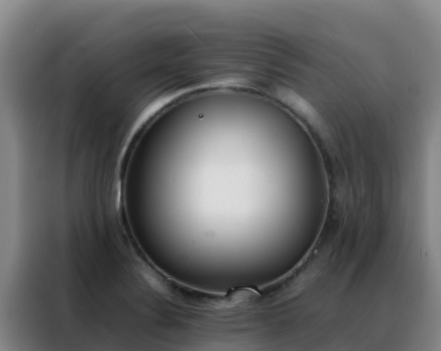 X0000088151324200705211148