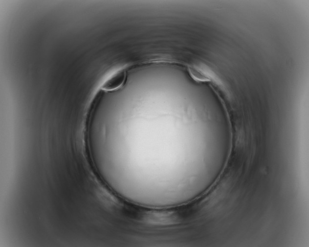 X0000088151325200705211148