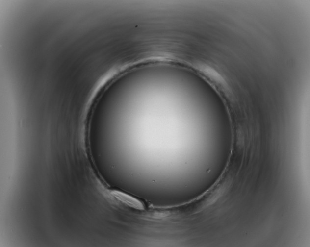 X0000088151326200705211148