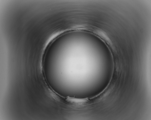 X0000088151328200705211148