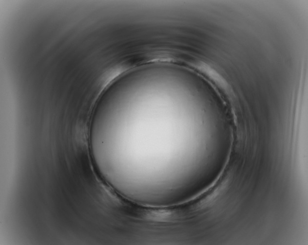 X0000088151329200705211148