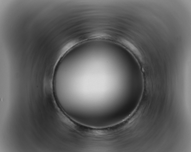 X0000088151330200705211148