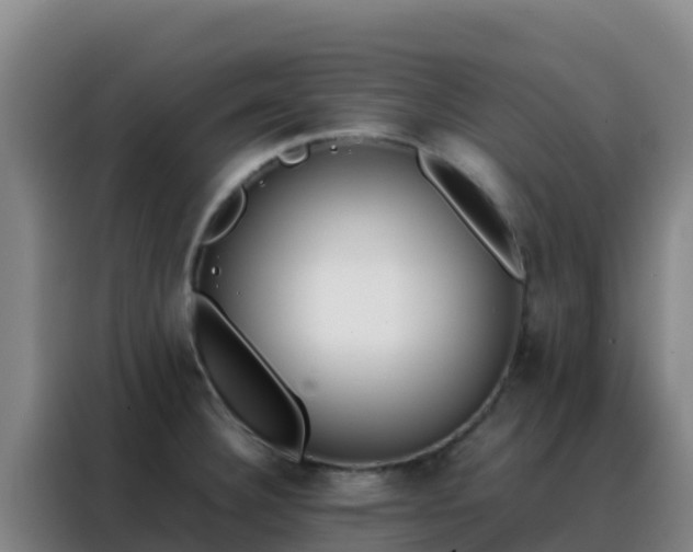 X0000088151332200705211148