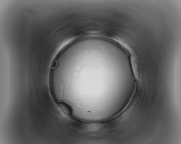 X0000088151333200705211148